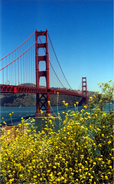 goldengate4.jpg